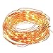 NEWSTYLE 100 LED Lights Copper String 33 Feet Bundle with 12v Adapter and a Remote Control (Warm White)