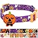 Blueberry Pet Halloween Darkness Deserted Castle Designer Adjustable Dog Collar with Decoration, Medium, Neck 14.5