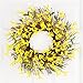 Collections Etc Spring Forsythia Floral Twig Door Wreath - Seasonal Door Accent for Any Room, Yellow