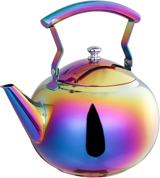 Rainbow Tea Kettle with Infuser for Loose Leaf, Stainless Steel Teapot
