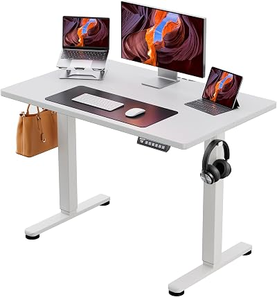 ErGear Electric Standing Desk 100x60cm Height Adjustable 4 Memory Panel