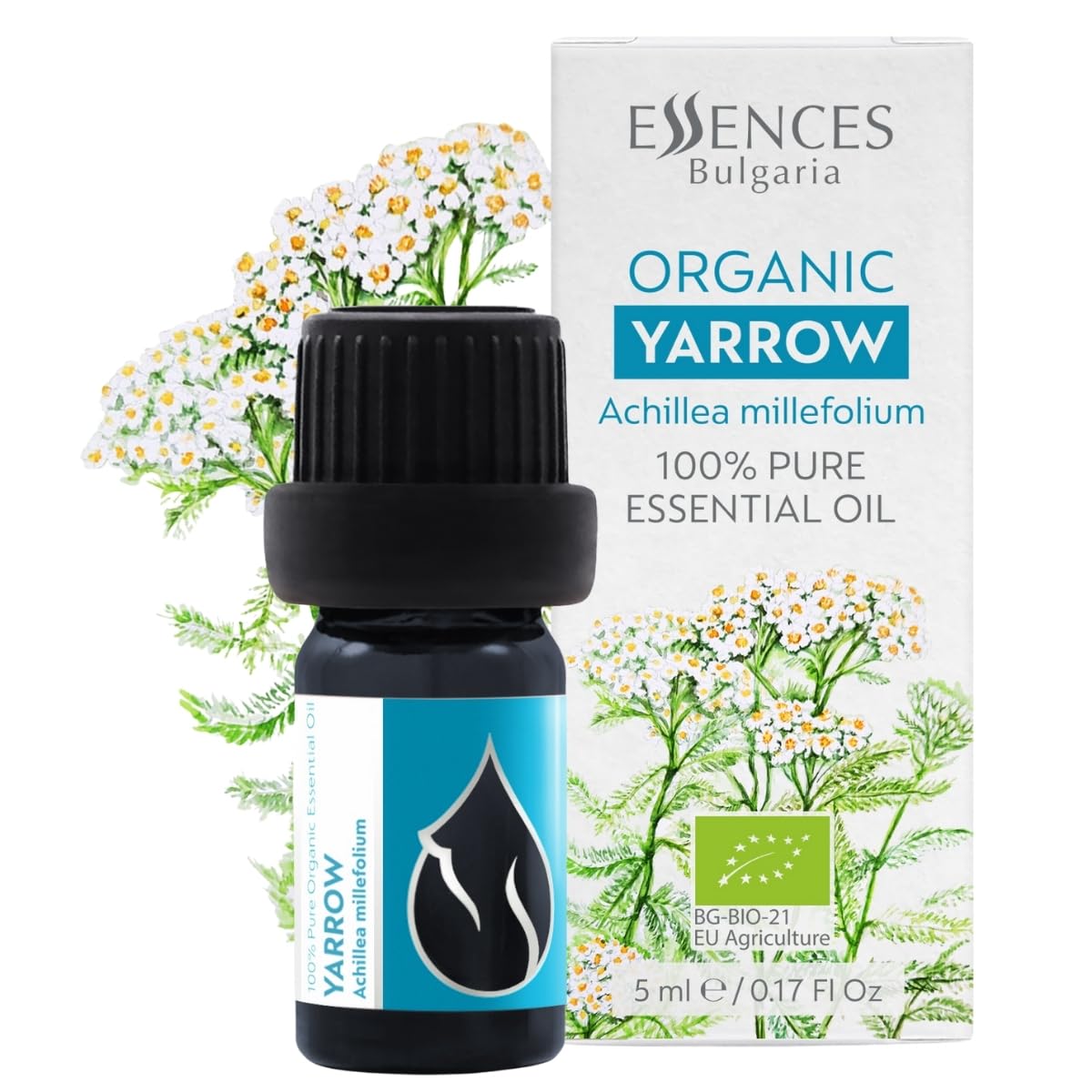 Essences Bulgaria Organic Yarrow Essential Oil 5ml | Achillea millefolium | 100% Pure and Natural | Undiluted | Therapeutic Grade | Family Owned Farm | Steam-Distilled | Non-GMO | Vegan
