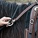 Rein Check Llc Dba Booma Rein Booma Rein Keeper