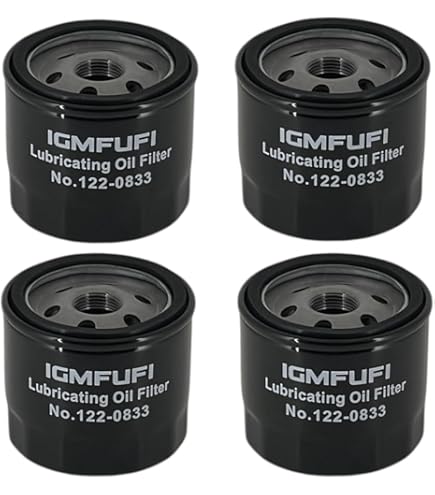 Amazon.com: CUMMINS NW Cummins 1220833 Onan Quiet Diesel Oil