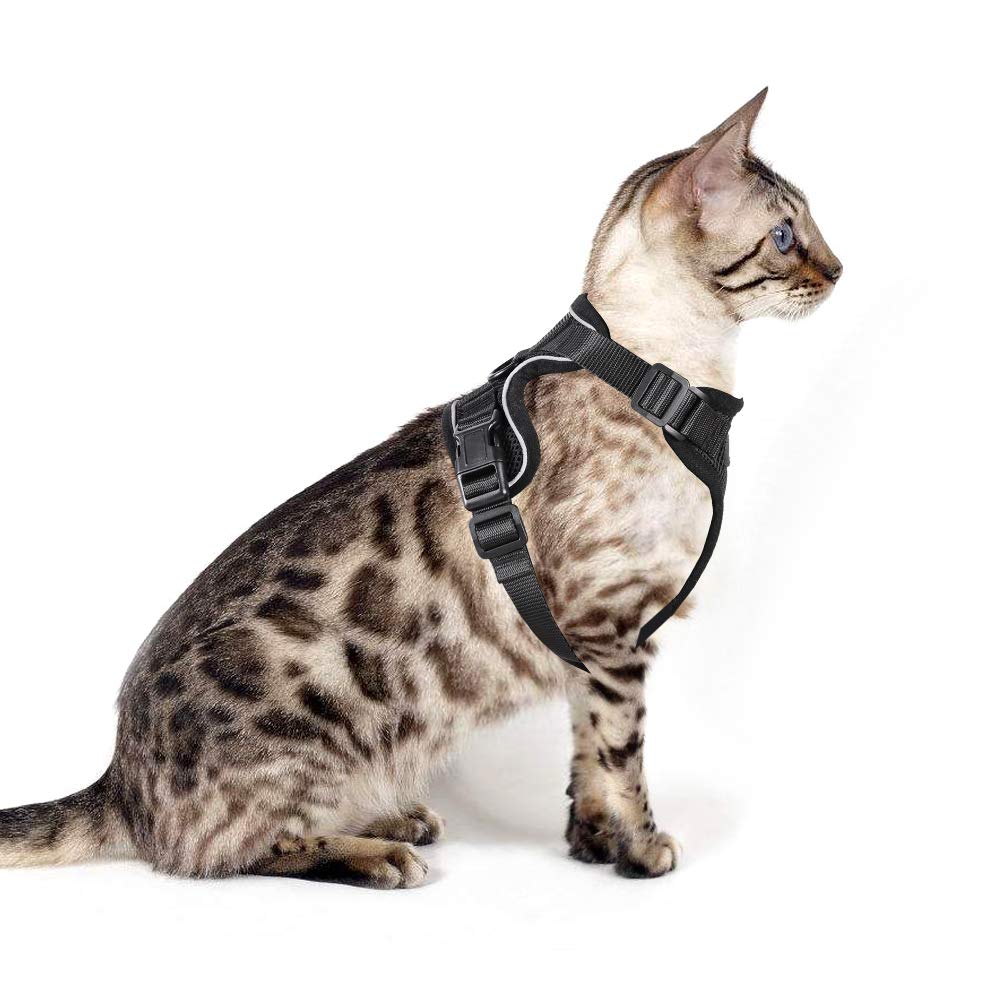 eagloo cat harness