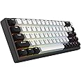 ARBITER Polar 65 -CNC Magnetic Gaming Keyboard w Rapid Trigger, Hall Effect Switches, CNC Aluminum Frame, Rapid Trigger, 65% Compact, Bright RGB, Dual-Shot PBT Keycaps - Black Panda