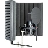 sE Electronics X1 S Studio Bundle with X1 S 1&rdquo; Large Diaphragm Condenser Microphone, RF-X Reflexion Filter, Shock Mount, Pop Filter, 3m Cable - Condenser Mic Bundle for Vocals, Instruments, Podcasting