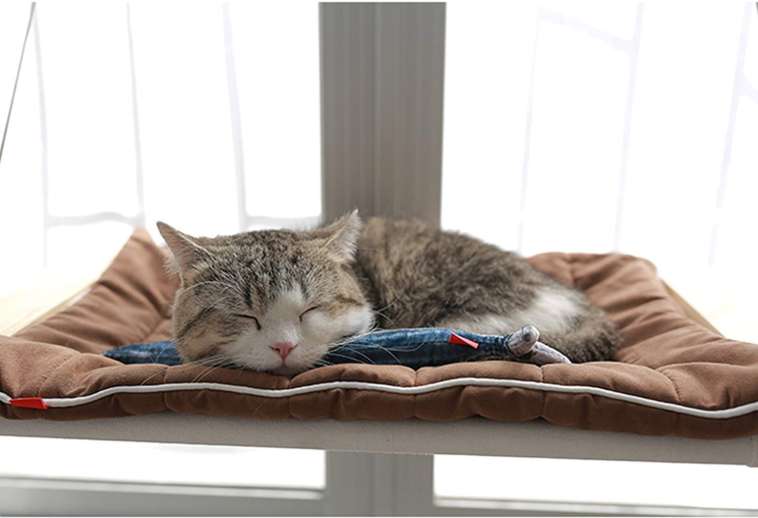 Homeda Fish Toy for Cats, Catnip Fish Toy Pillow for Cat Kitten Kitty