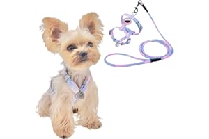 YorkieGogo No Pull Dog Harness and Leash with AirTag Holder for Small/Teacup Cats & Dogs, Cooling & Light Weight Vest, Perfec