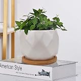 Jucoan 6 Pack Ceramic Succulent Planter Pots 10 cm White Diamond with Tray view 4