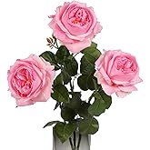 ICBOX 3PCS Pink Rose Artificial Flowers 23.62'' Real Touch Austin Roses with Long Stem Pink Fake Flowers 5.1'' Big Faux Peonies Flowers for DIY Flower Arrangement Home Wedding Party Decoration(Pink)