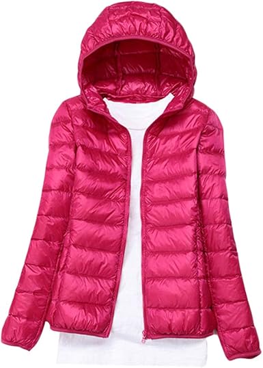 parka arctic the north face