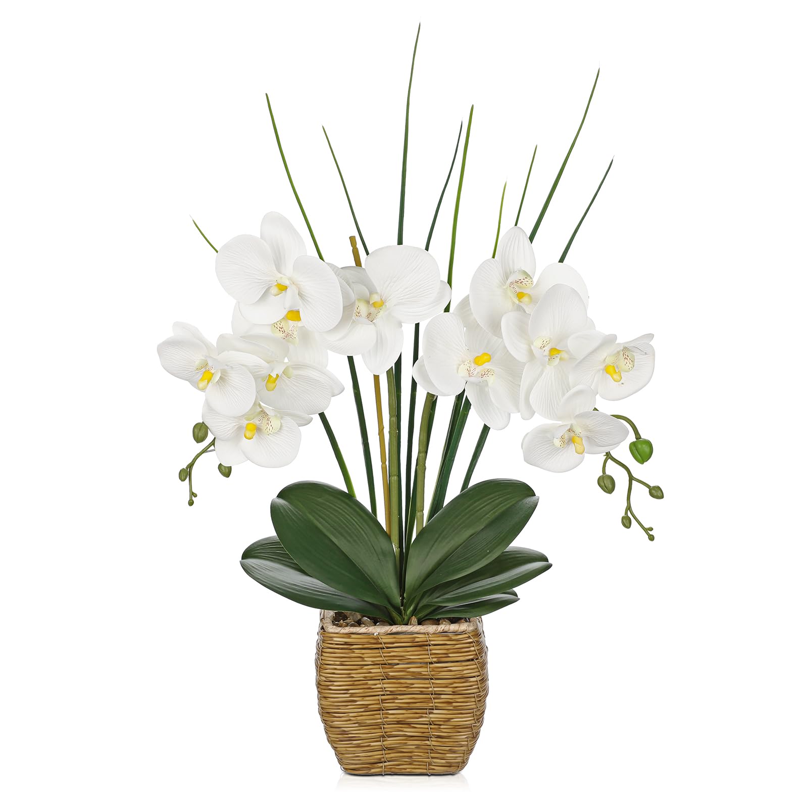 Photo 1 of Hollyone 21.6" White Orchid Artificial Flowers Fake Orchid in Rattan Woven Vase Faux Orchids Phalaenopsis Arrangement in Pot for Office Table Centerpiece Shelf Wedding Indoor Outdoor Home Decor