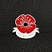 Remembrance Day Memorial Day Gift Poppy Brooch Pins Lest We Forget Flower Badge Broach (Lest We Forget A)