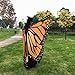 VESNIBA Soft Fabric Butterfly Wings Shawl Fairy Ladies Nymph Pixie Costume Accessory (197125CM, Orange)