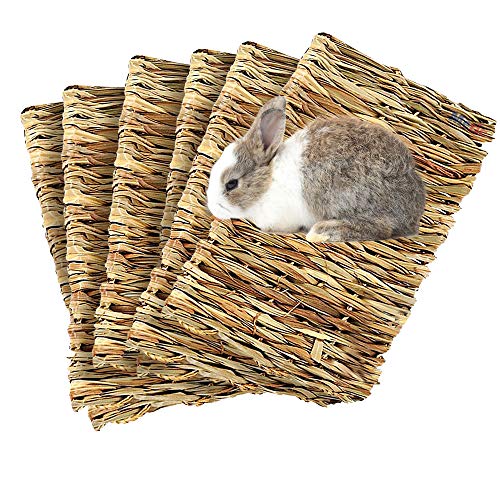 Meric Rabbit Grass Mats, Edible Handwoven Seagrass Floor Pads and