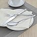 Begale 30-Piece Stainless Steel Flatware, Service for 6
