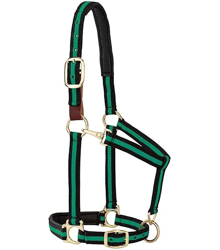 Licou Breakaway Weaver Equine - Bleu - Taille Cheval Moyen Ou Yearling Draft - Neuf