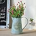 VANCORE Rustic Style Shabby Chic Large Metal Vase Pitcher