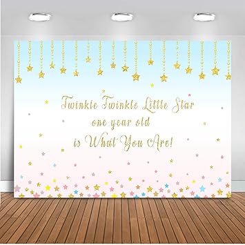 Mehofoto Happy 1st Birthday Backdrop Twinkle Twinkle Amazon In
