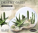 Dunecraft Desert Oasis Terrariums