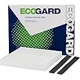 ECOGARD XC35530 Premium Cabin Air Filter Fits Nissan Altima 2002-2006, Sentra 2000-2006, Murano 2003-2008, Maxima 2004-2008, NV3500 2012-2013, X-Trail 2006 | Mitsubishi Outlander 2007-2020
