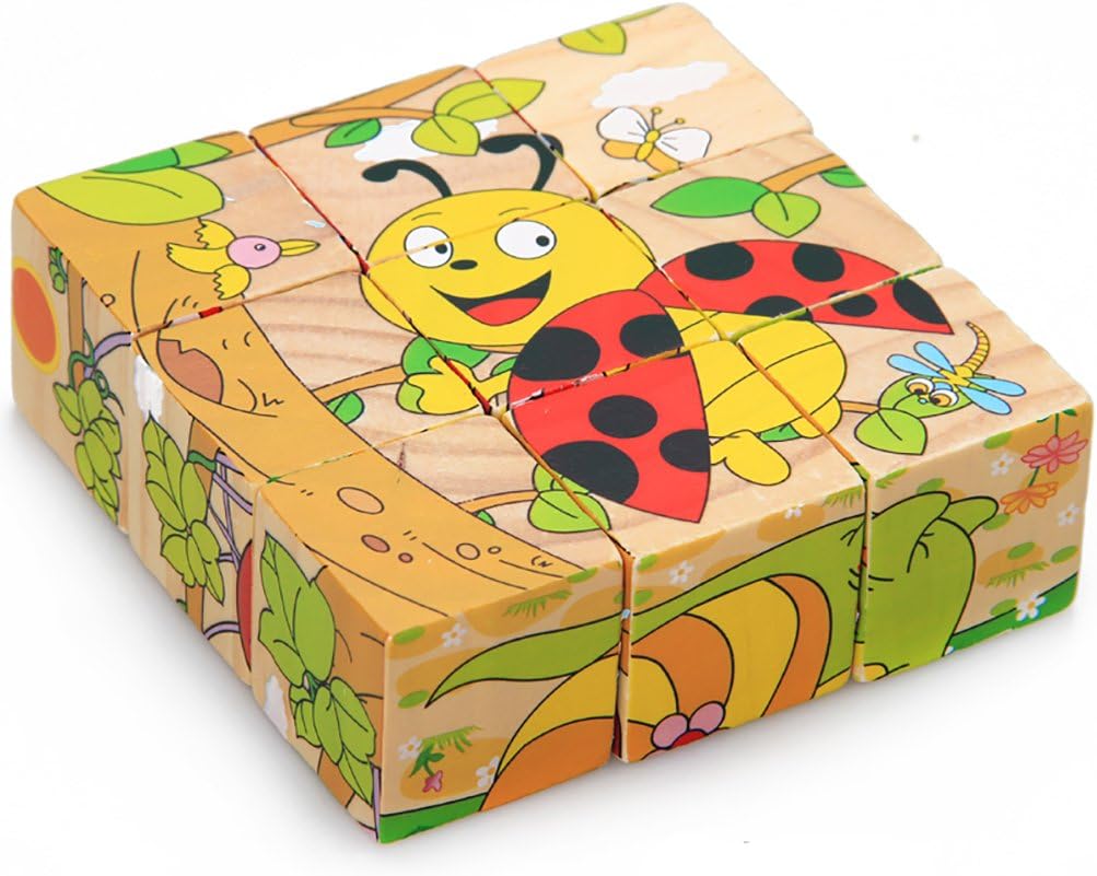 APig 9 Cubes Wooden Blocks Jigsaw 6 in 1 Puzzles Educational Wooden Toy for Kids 3 4 5 6 Years Old- insects
