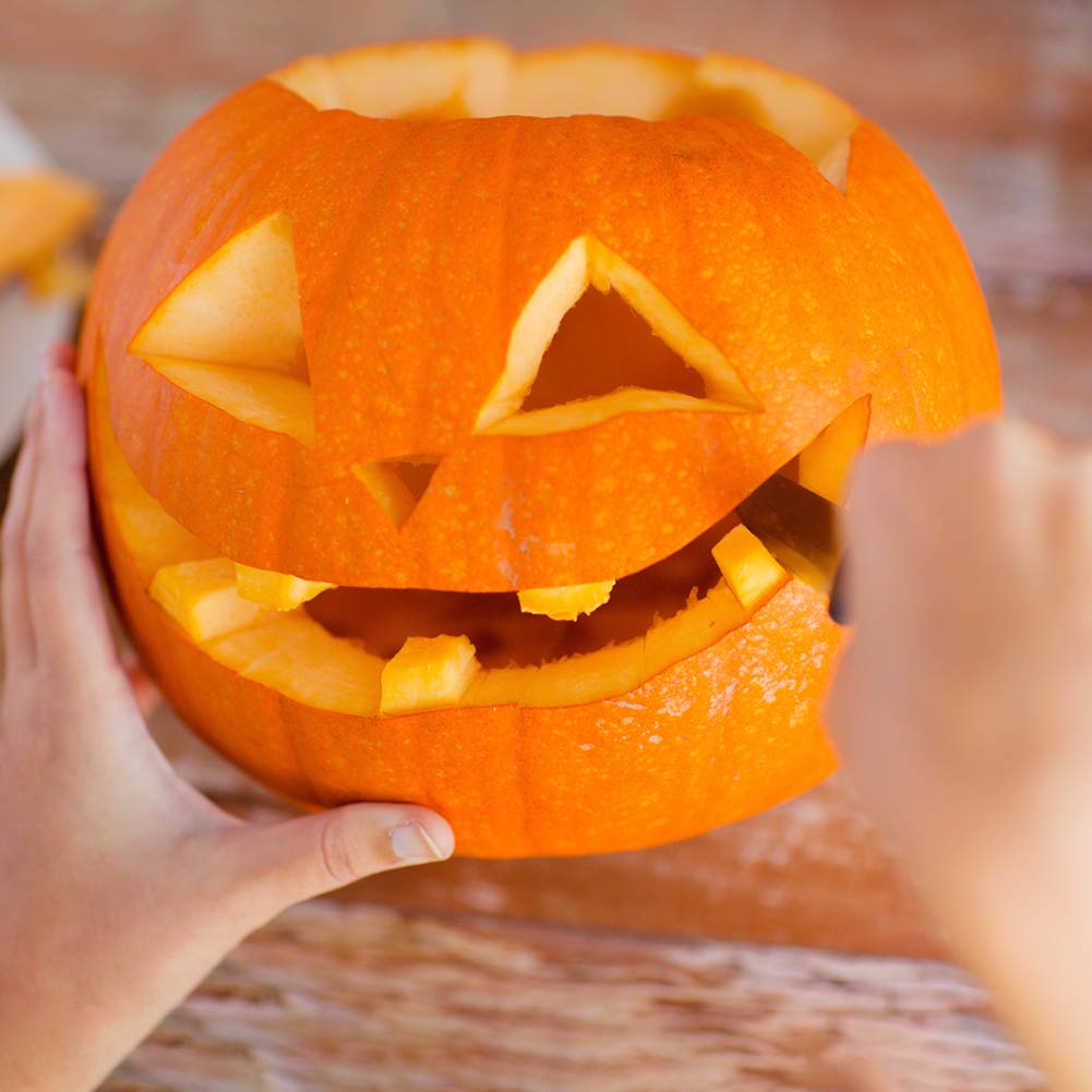 10 Schemi Da Copiarearancione Arco Vitasemcepli 5 Kit