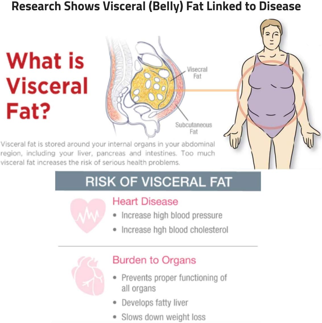 MicroActive Oligonol “Sustained Release” 60 Veg Caps | 2 Month Supply and 2X More BioAvailable | Clinically Proven for Fat Reduction & Skin Health | Supports Cardiovascular Health | Vegan: Health & Personal Care
