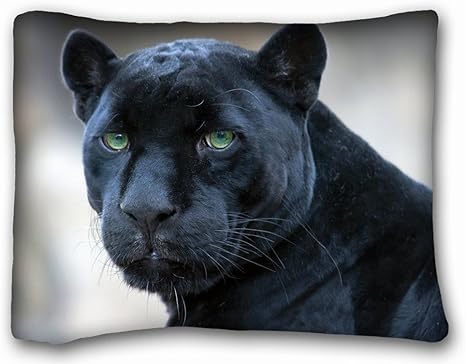 Amazon Co Jp Tsuitsui動物ジャガーブラックパンサースロー枕ケースクッションカバー X 26インチ ホーム キッチン