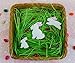 R&M International Easter Bunny Rabbit Shaped Cookie Cutters, Assorted Sizes, 3-Piece Set