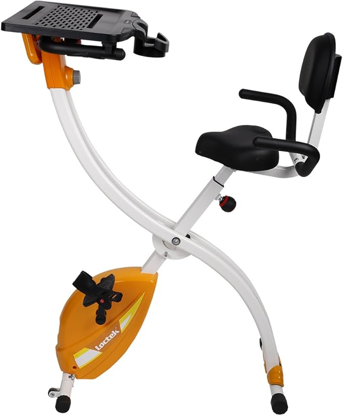 loctek exercise bike