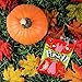 Sour Punch Straws, Strawberry Fruit Flavor, Soft & Chewy Candies, 4.5oz Bag (12 Pack)