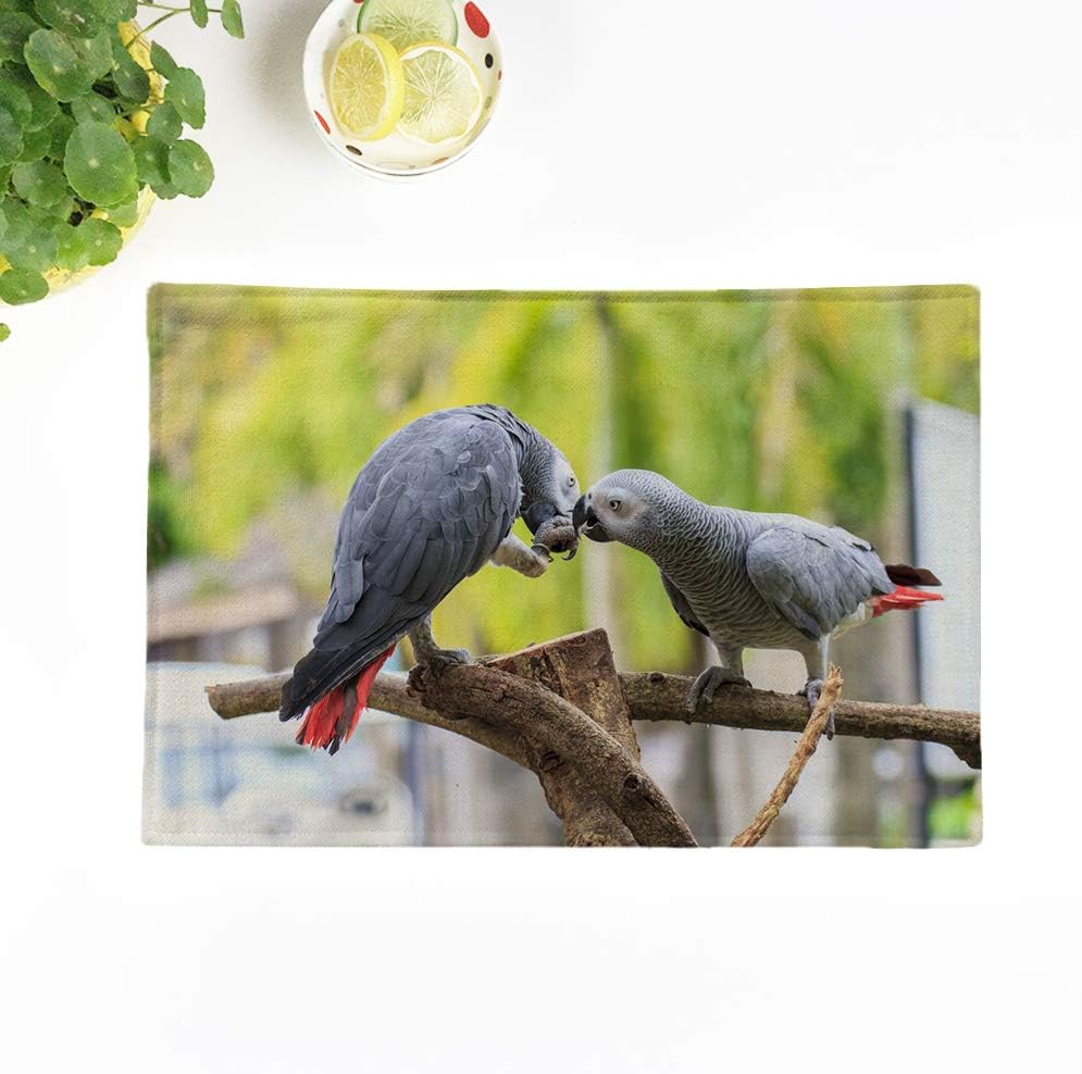 Topyee Placemats Set of 4 Red Grey Gray African Parrot Africa Animal Avian Aviary 17x12.5 Inch Non-Slip Washable Place Mats for Kitchen Dinner Table Mats Parties Decor