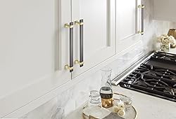 Amerock | Cabinet Pull | Black Chrome/Brushed Gold