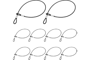 VIN BEAUTY 10PCS Stainless Steel Cable with Loops, 12 Inch 2mm Security Cable Short Wire Lock Cable Lanyard Chain Link Lock Vinyl Coated Thin Wire Rope for Outdoor Gates, Bikes, Luggage