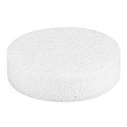 4 Inch 24-Pack Foam Circles for Crafts