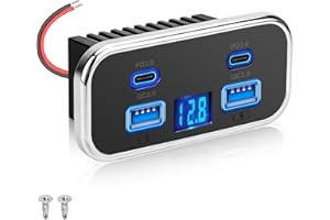 Linkstyle RV USB Outlet, 76W Dual 18W USB-A & Dual 20W PD3.0 Ports, Power Outlet Panel with Voltmeter for 12V/24V Car Truck M