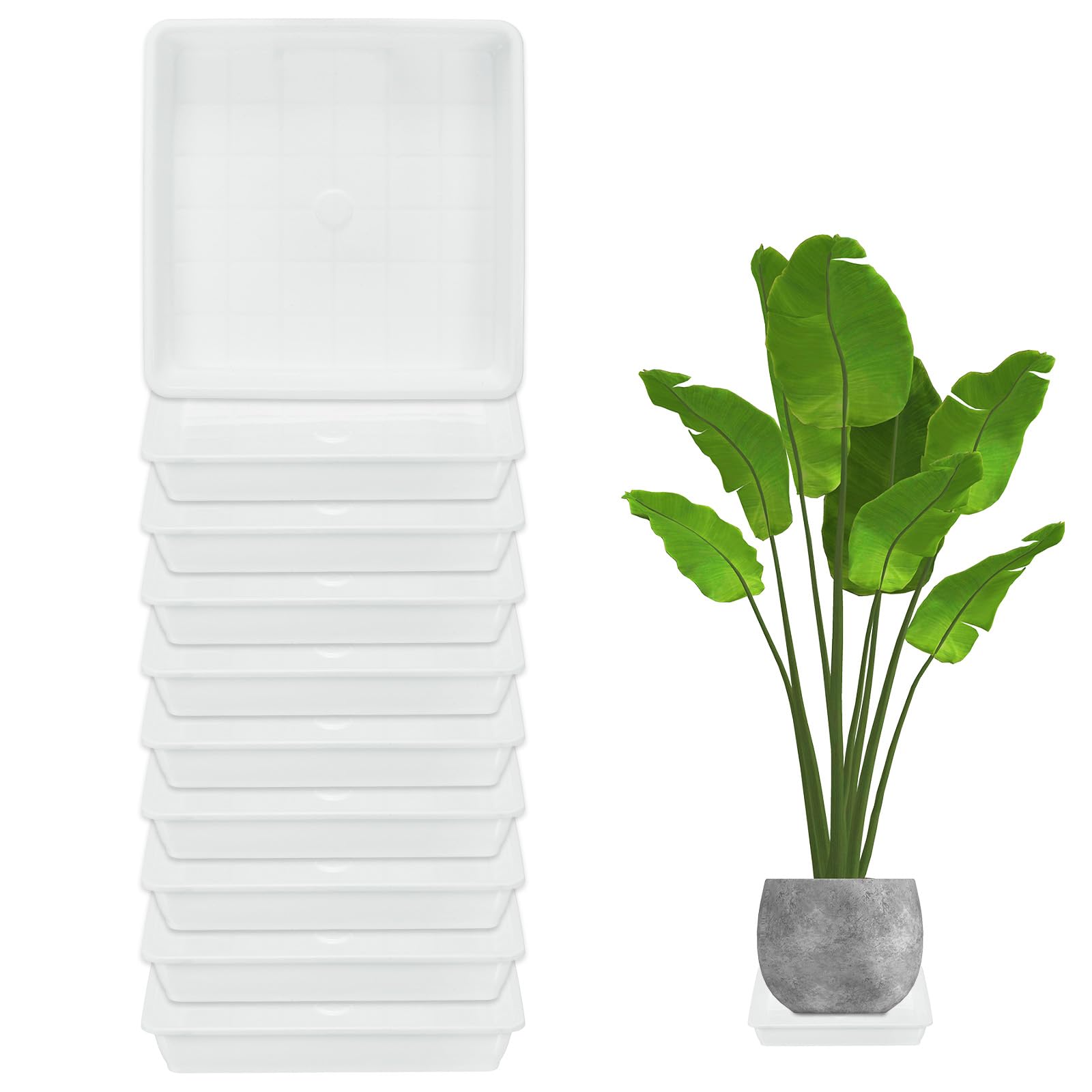 M METERXITY 10-Pack Plant Pot Saucers, 6 Inch 15cm Plastic Square Flower Drip Tray, Pot No Holes Durable Plant Trays for Pots Base Indoors/Outdoors Plants [White]