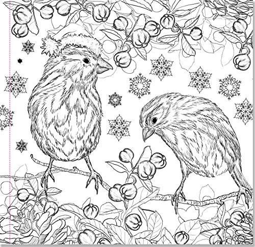 Download Christmas Designs Adult Coloring Book (31 stress-relieving ...