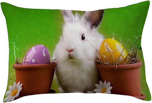 Funda de cojín de Pascua, 30 x 50 cm, diseño de dibujos animados ...