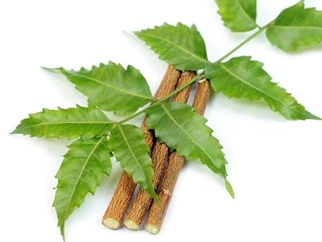 Alekip Neem Chew Sticks Set Of 20 Amazon In Garden Outdoors