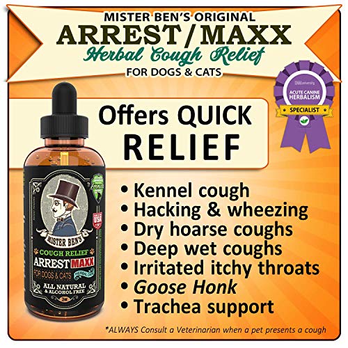 MISTER BEN'S Original Kennel Cough Relief Arrest/MAXX Herbal Cough