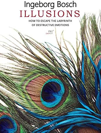 Illusions: Free yourself from the maze of destructive emotions Paperback – August 7, 2017