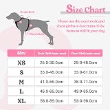 rabbitgoo Dog Harness Small No Pull Adjustable Reflective Pink XS view 2
