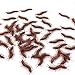 LovesTown Fake Centipedes Simulated Insect Prank Toy Centipedes Toy Joke Toys Halloween Party Supplies 50Pcs