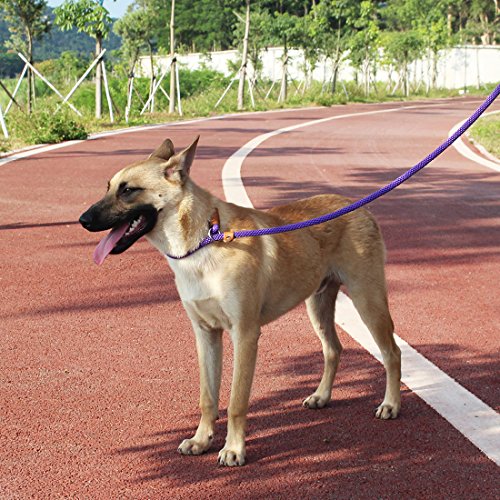 lynxking Dog Leash Rope Strong Heavy Duty Braided Rope Slip Leads No Pull Training Lead Leashes for Medium Large Dogs (5', Purple)