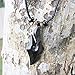 Marycrafts New Zealand Maori Style Buffalo Horn Hand Carved Men Necklace Pendant