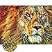 staroar 5D Diamond Painting Kits for Adults Special Shaped Full Crystal Rhinestone - Lion (44X34CM) Cross Stitch Diamond Art Craft