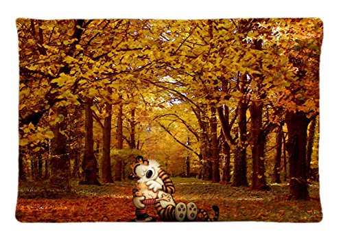 Calvin And Hobbes Custom Pillowcase Rectangle Pillow Cases 20x30 Inches (one side)